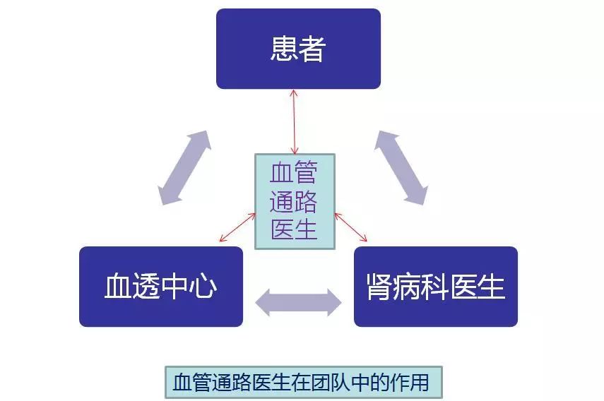 新澳门正版资料免费,新式数据解释设想_AIC83.983安全版