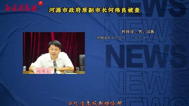 何伟良最新任免揭晓，日常故事中的温馨转折