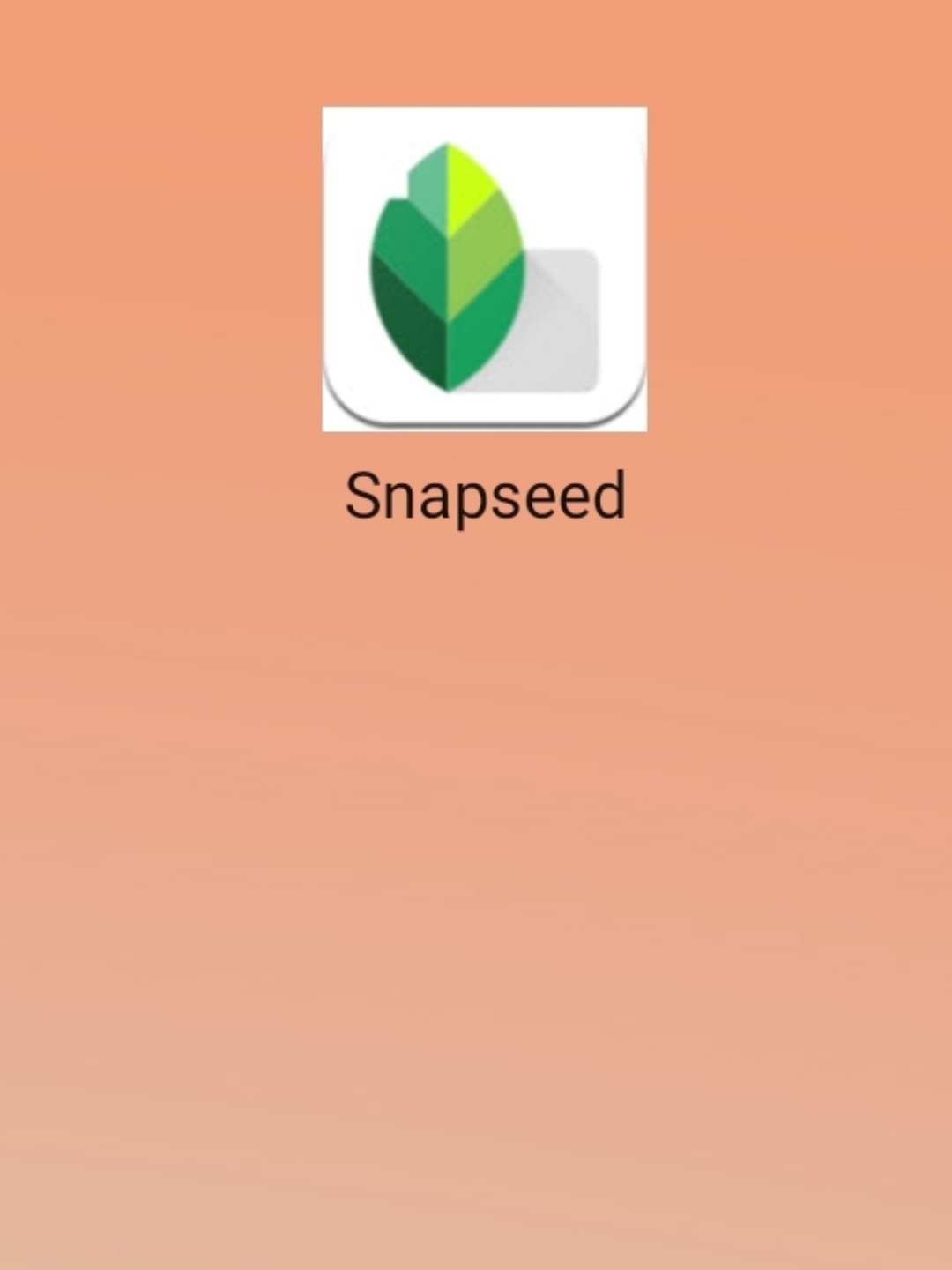 最新snapseed中文版，科技重塑影像，让生活因摄影更精彩