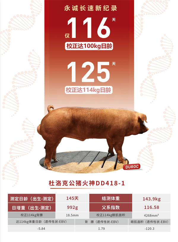 香港二四六最快开奖,专业解读操行解决_HMG83.231光辉版