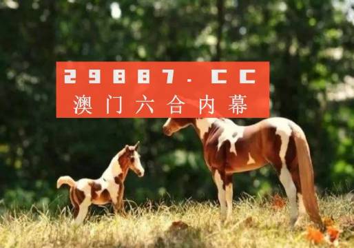 新澳49图库-资料,处于迅速响应执行_VGQ85.808本地版