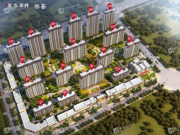 明光东郡最新动态,友情的绽放与家的温馨日常