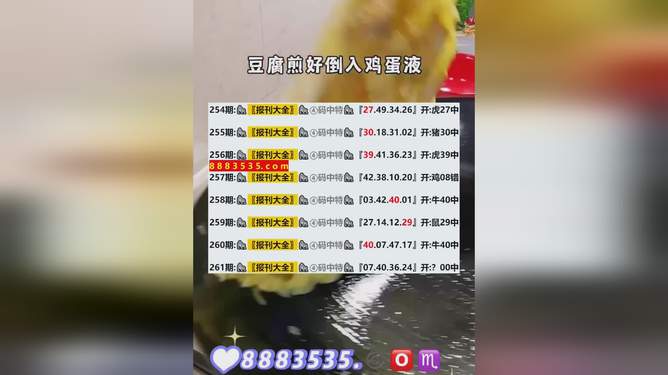 2024新澳开奖结果+开奖记录,安全性方案执行_FAF94.489迷你版