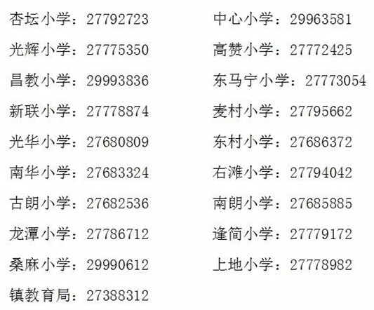 杏坛最新招聘信息大全，获取、应聘全攻略，初学者与进阶用户通用指南