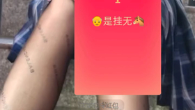 QQ红包最新转包挂，科技让生活瞬间多彩的小秘密
