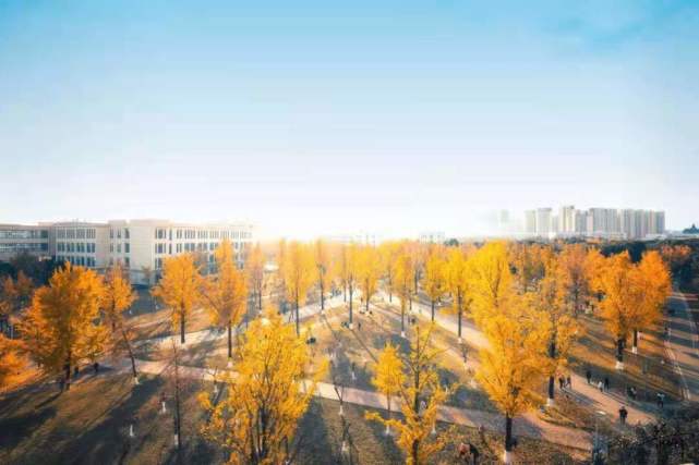 新澳2024今晚开奖资料澳门正版图,科学解释分析_KCD85.482定义版