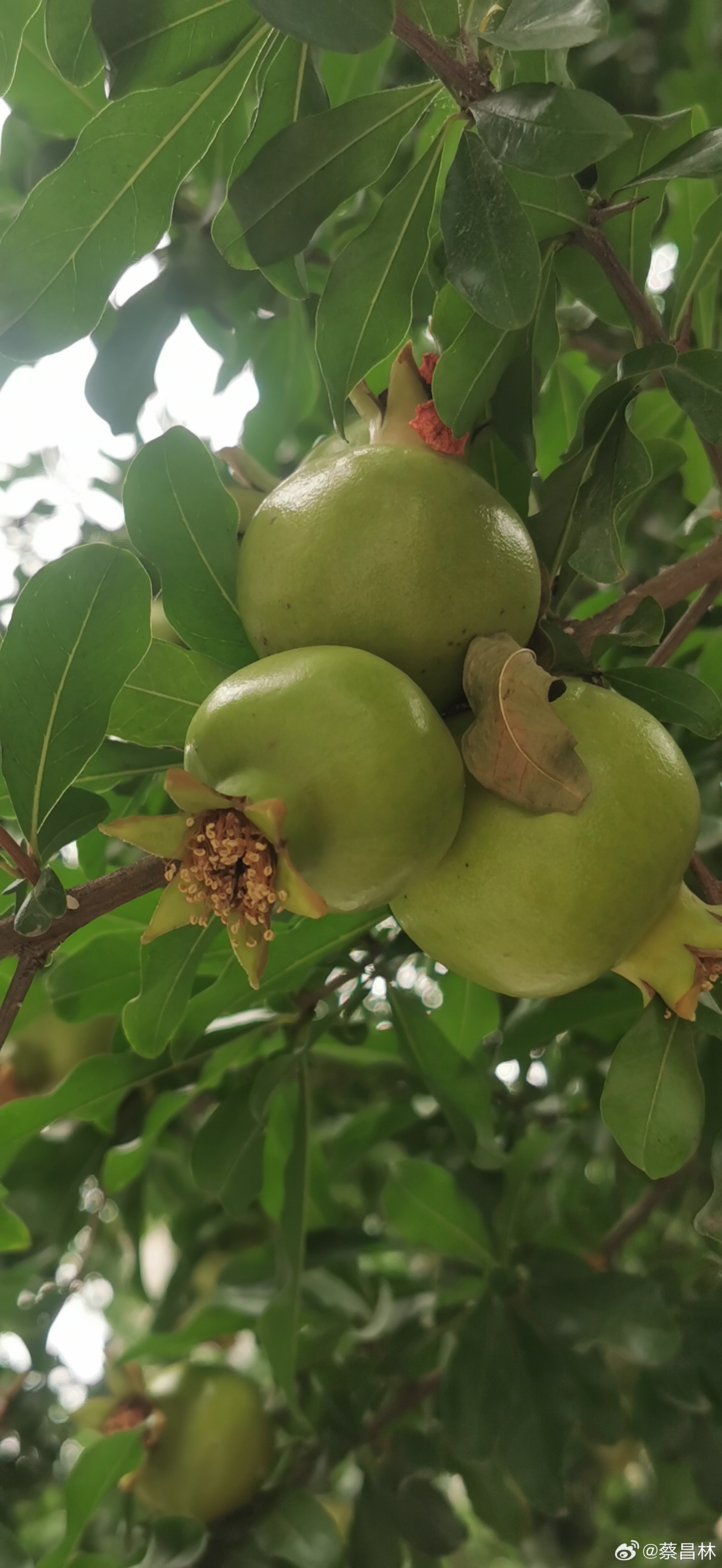 远离非法色情内容,倡导健康生活与积极旅游体验