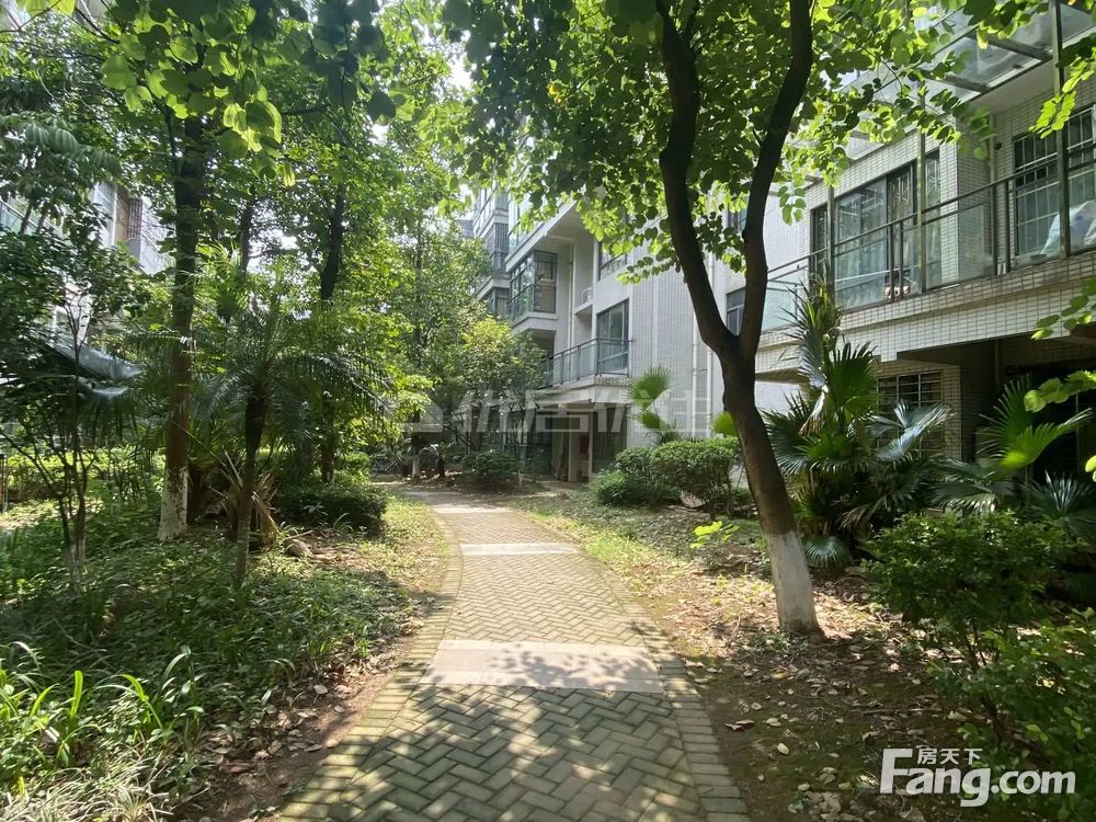 碧城庭院最新价格及指南