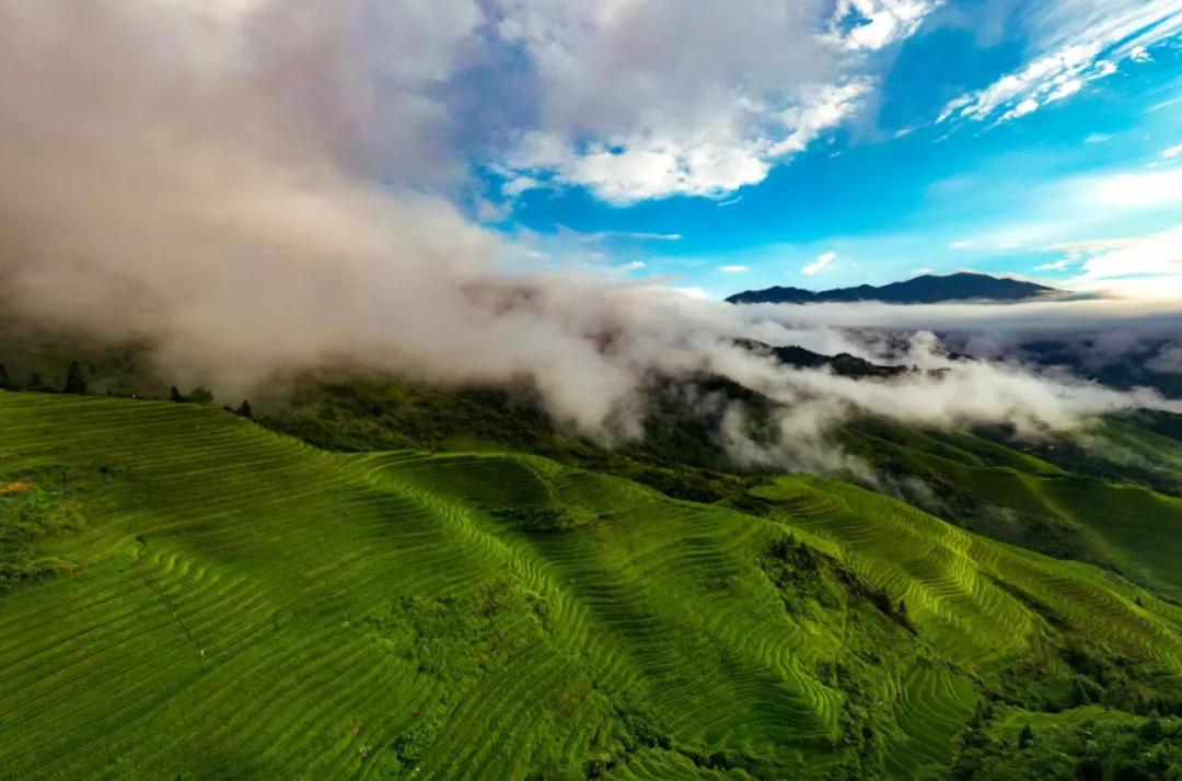 桂林最新动态更新✨