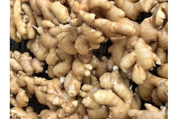 昌邑生姜市场最新价格指南,全面了解生姜市场行情与价格动态