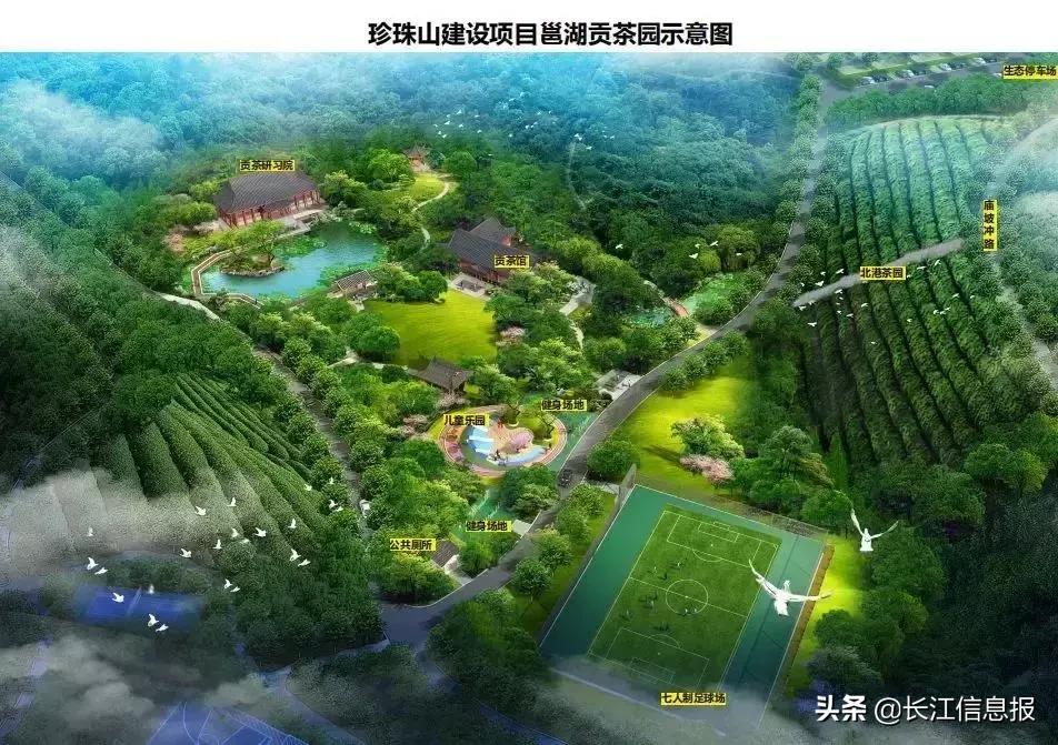 岳阳北港小学最新动态揭秘，校园新闻与活动更新