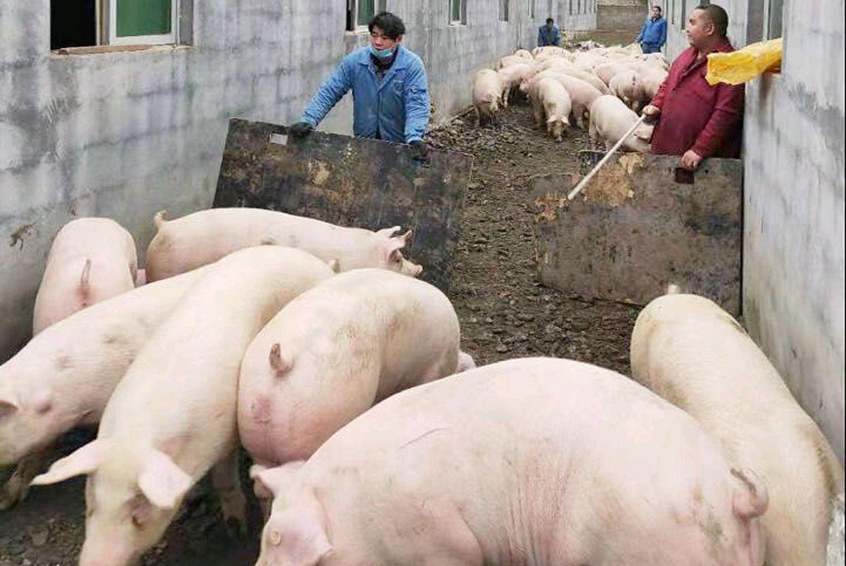 工程厂房灯具 第283页