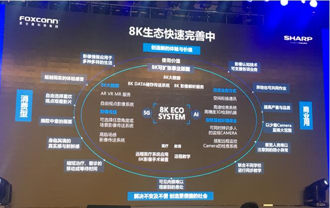 香港图库黑白版图,稳健设计策略_IQE9.814风尚版