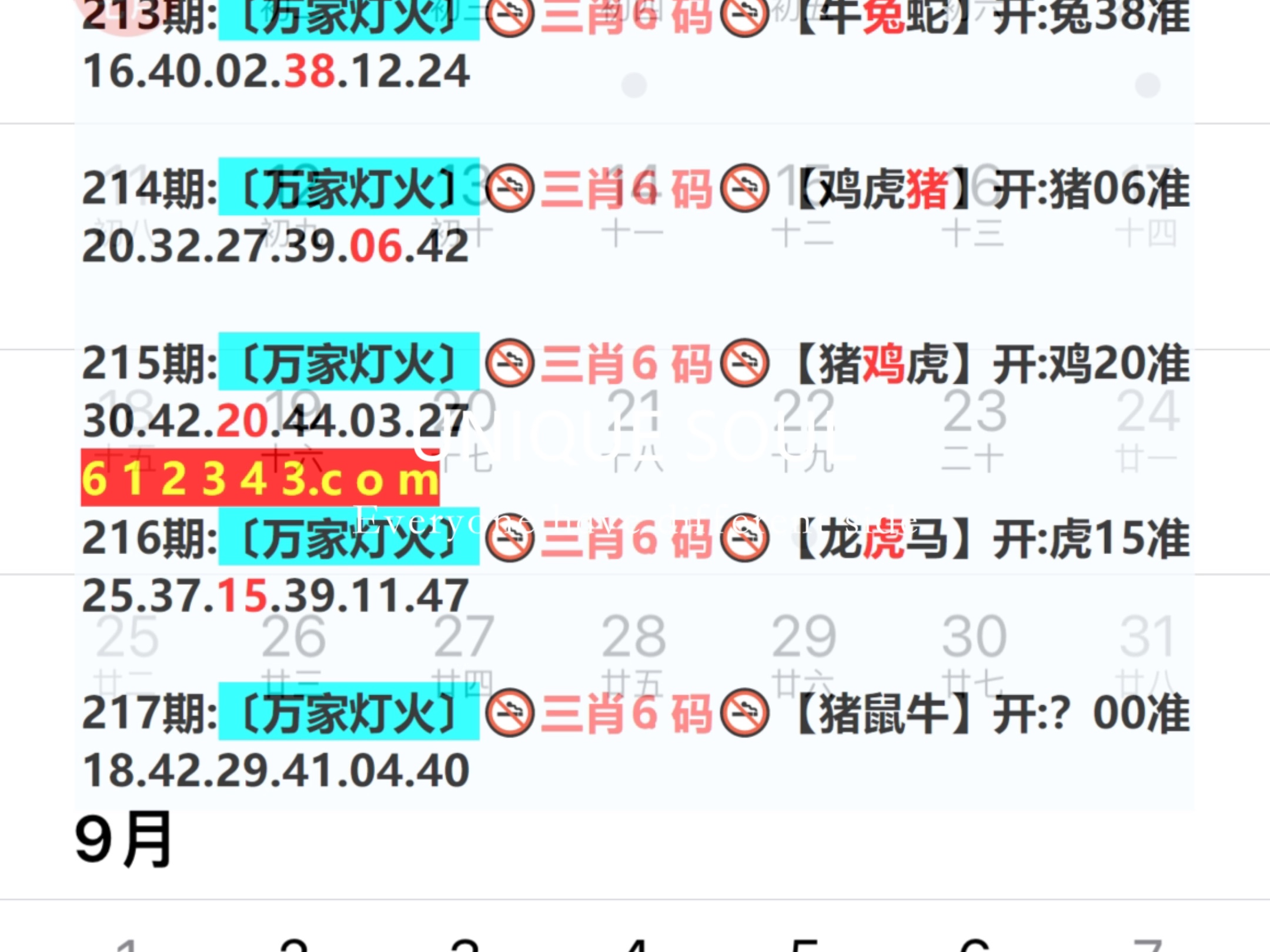 2024年新奥门天天开彩,数据获取方案_JPF58.265科技版
