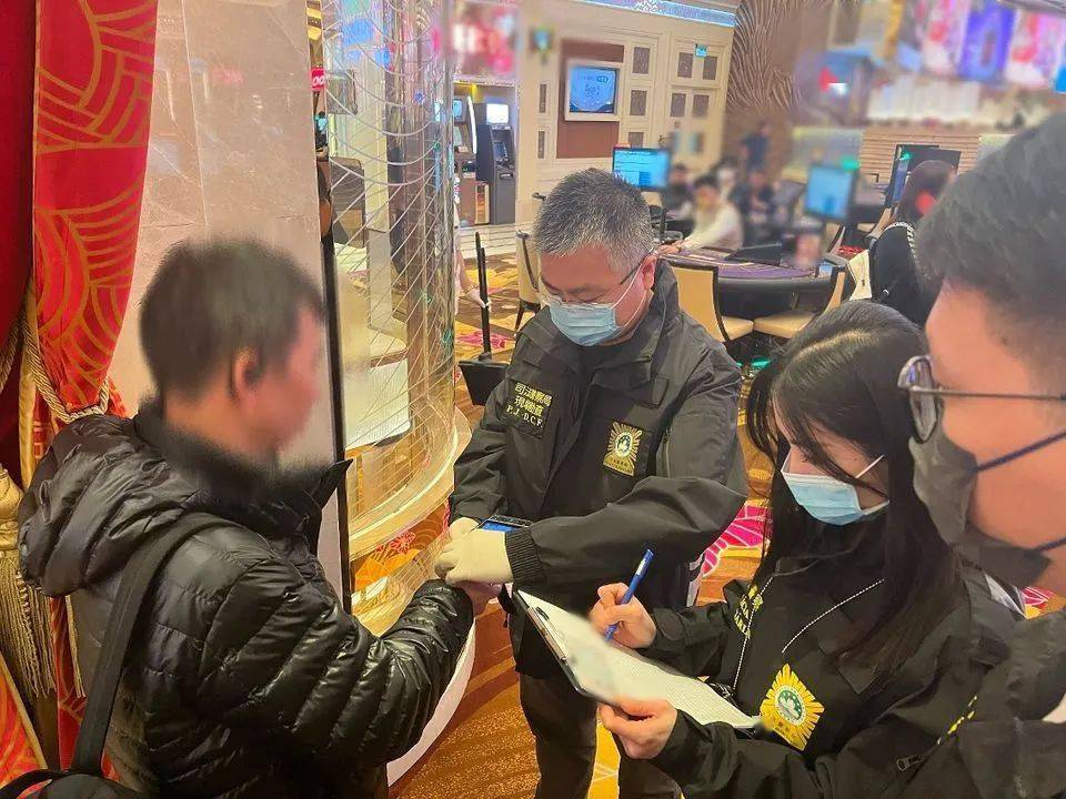 新澳门一肖一码精准资料公开,社会承担实践战略_XRF83.344旅行助手版