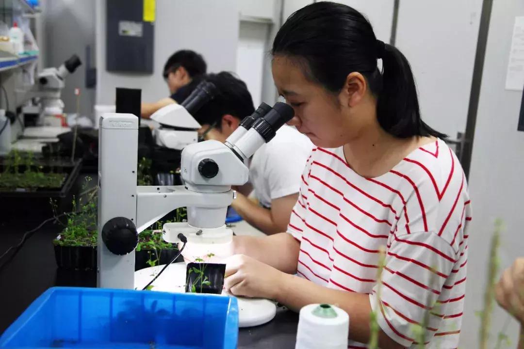 最新学科评估,最新学科评估引领科技革新——未来生活触手可及的高科技产品介绍