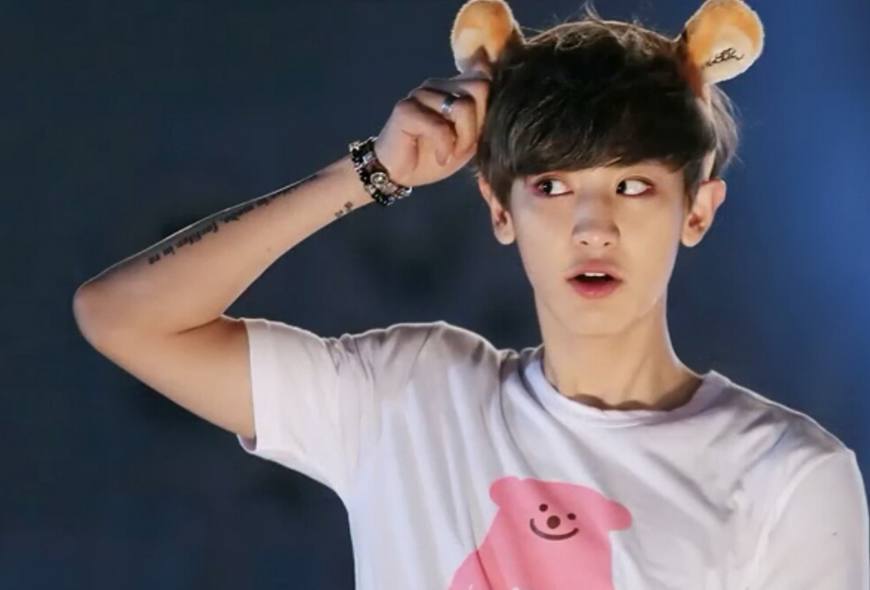 灿烈2024最新图片探索与赏析集萃