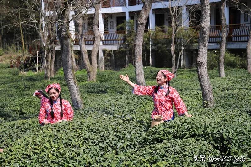 关于皇后直播探索独特魅力小店的直播内容探讨与下载指南