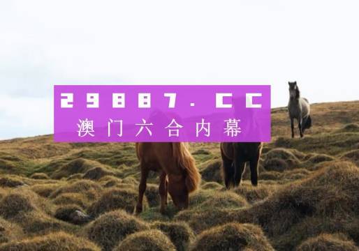2023澳门一肖一码,实地观察数据设计_结合版51.427