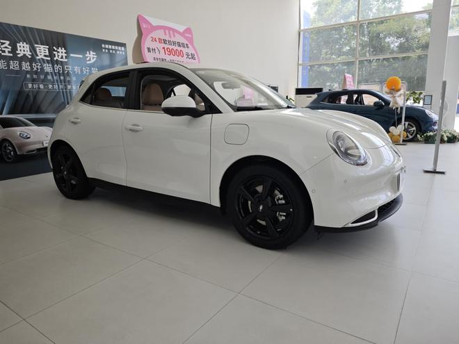 🌟重磅来袭!2024最新款小车,时尚与科技的完美结合✨