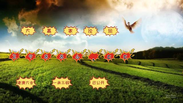 运动场馆灯具 第219页
