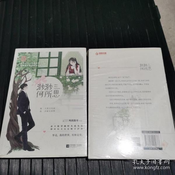 渺渺何所思最新连载，温馨日常的陪伴