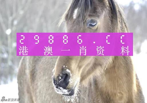 澳门一肖一码精准100%-百,精准解答方案详解_机器版61.644