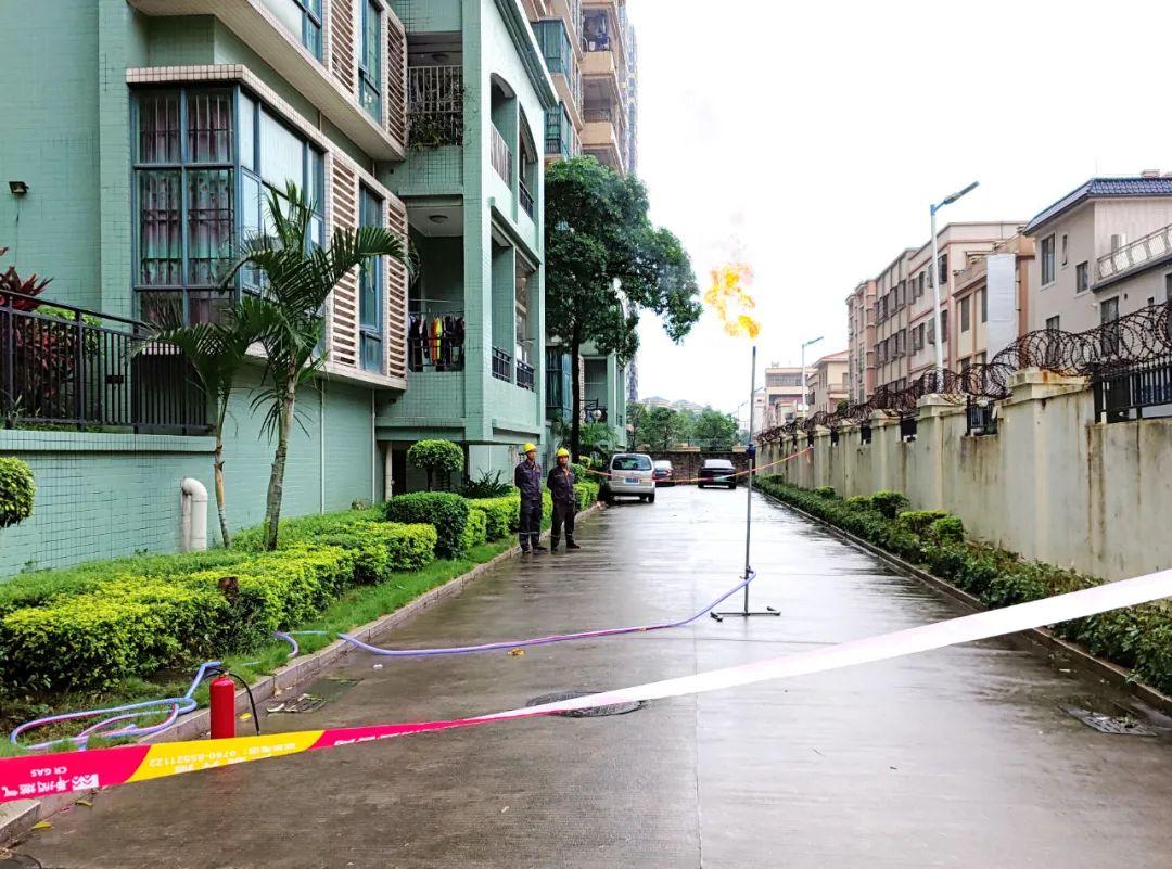 中山东凤佛奥最新动态，自然美景的探索之旅，寻找内心平和与宁静