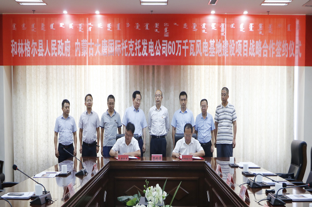 锡林浩特大唐最新动态,全面指南与步骤详解