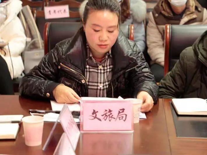 资阳最新城市规划图详解,规划步骤与指南