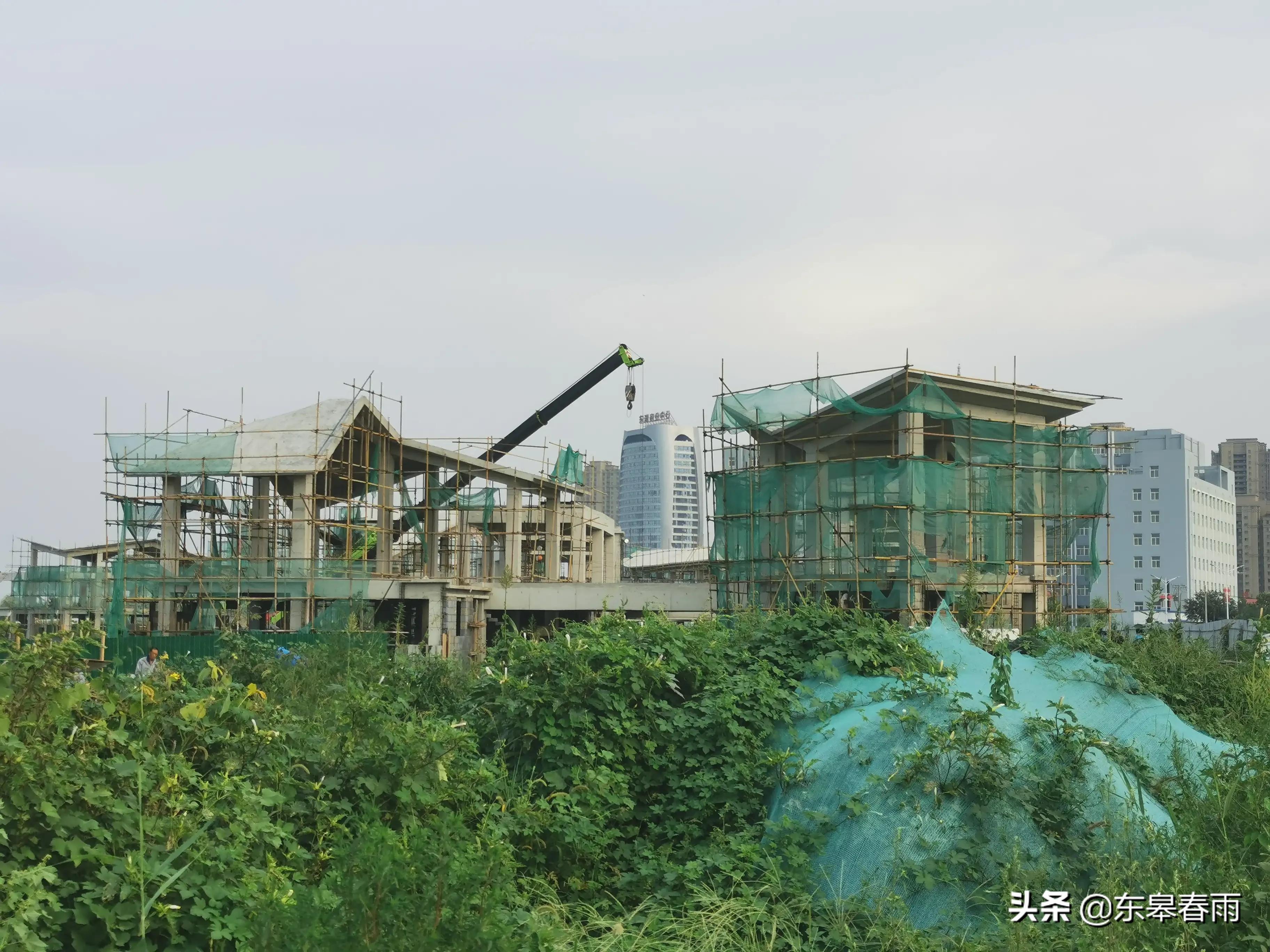 保定东湖一号最新动态与欢乐日常体验