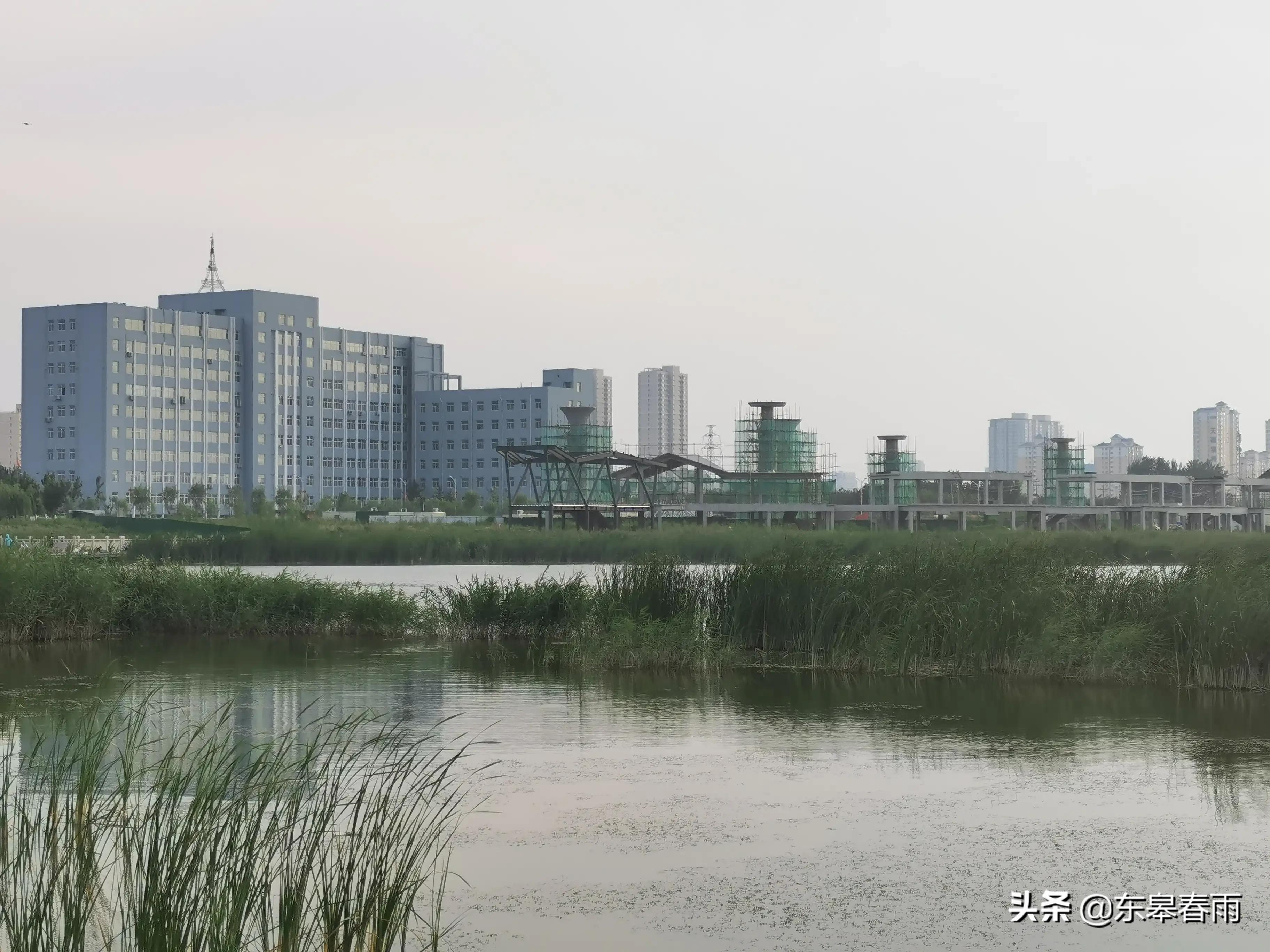 保定东湖一号最新动态与欢乐日常体验