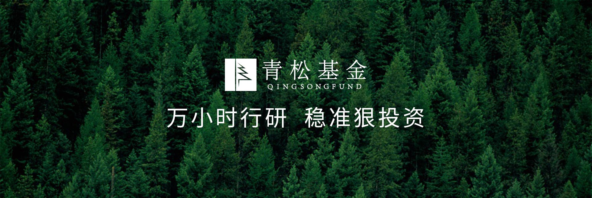 长青树众筹最新动态,背景、发展与时代地位探索