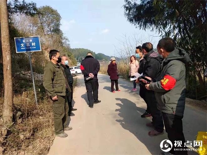 三台县龙树镇，小巷深处的味觉奇遇及最新新闻探秘