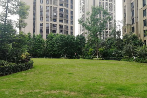 协信星麓时代最新动态,时代印记与未来展望