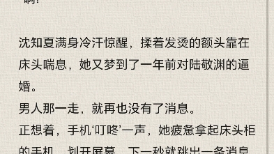 运动场馆灯具 第204页