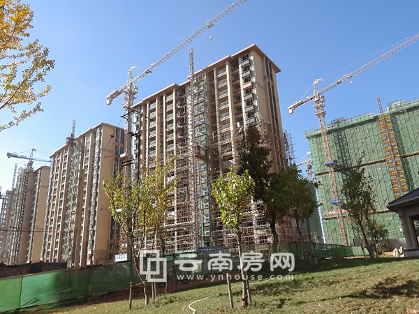 LED光源 第235页