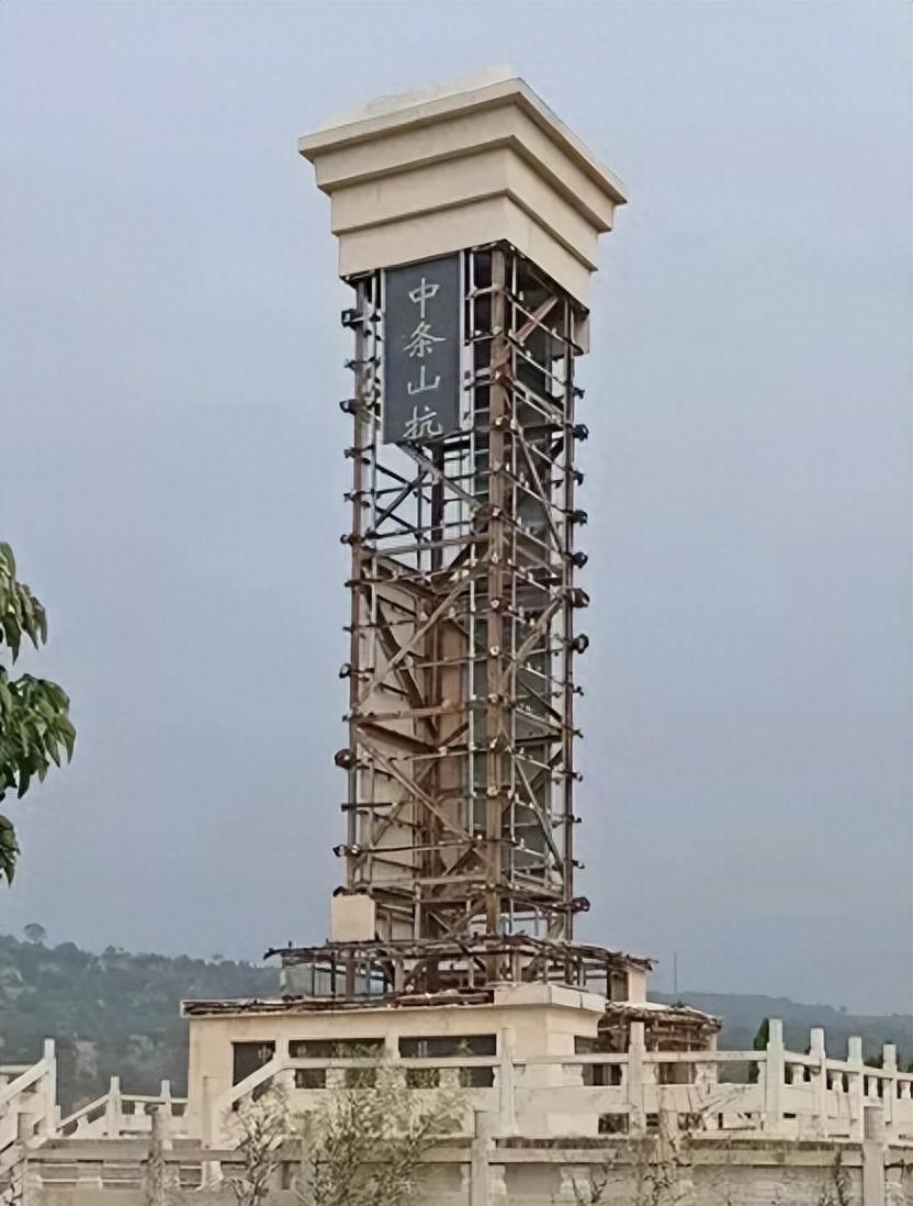 南京最新新闻报道更新速递