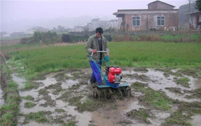 工矿灯具 第234页