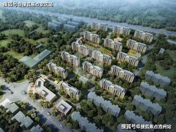 新浦塞纳豪庭最新动态更新