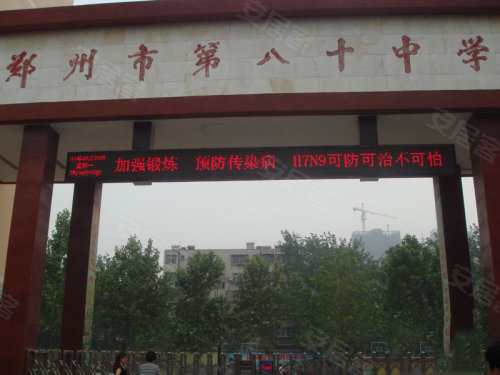中原区九龙城最新动态深度解析，最新进展与观点阐述