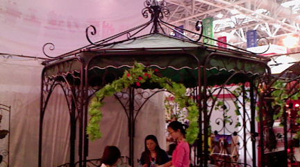 藏花阁最新观点阐述与深度解析