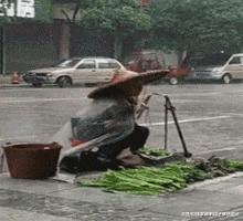 最新驾考崩溃背后的温馨学车之旅