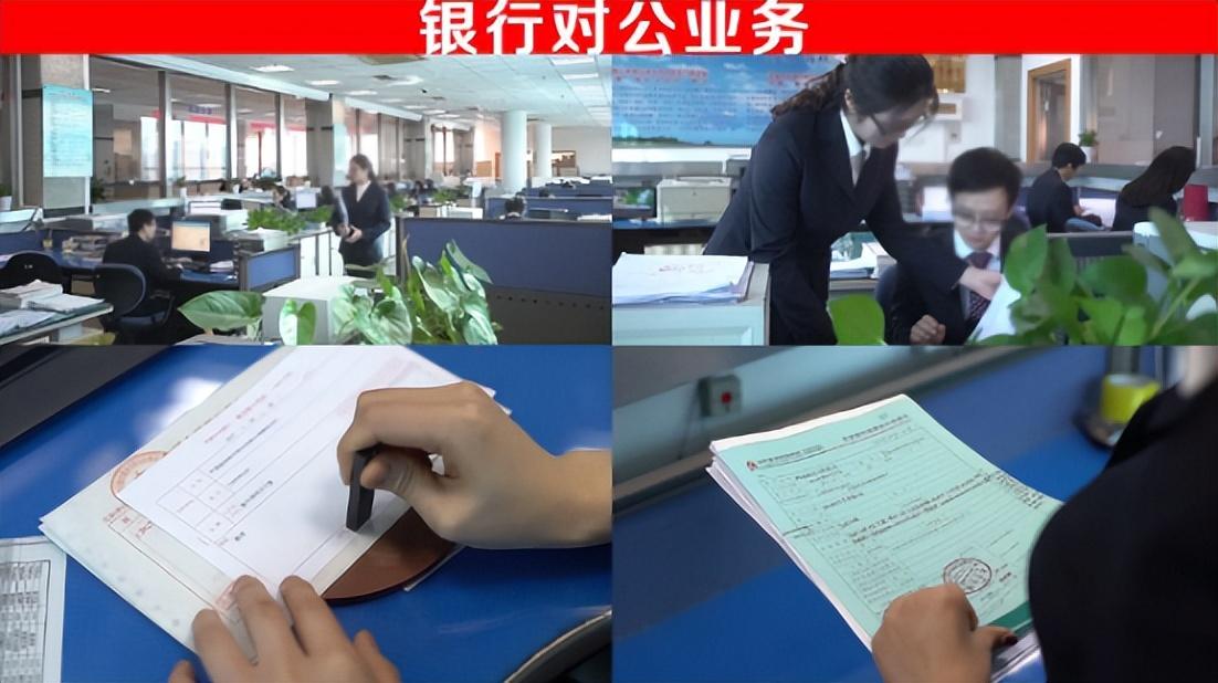 数你最新图片,一张照片中的温馨故事