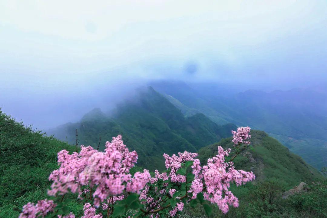 最新章丘群加入指南,步骤详解,快速参与讨论!