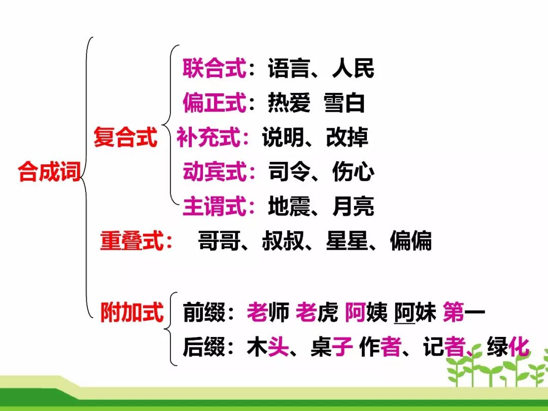 最新合成词，语言发展的微观视角探索