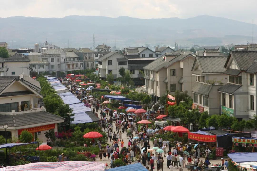 保山市,历史背景、重大事件与时代地位的最新探析