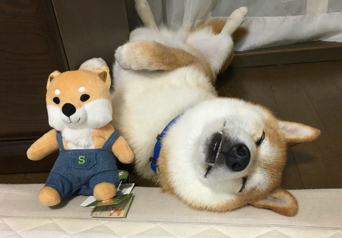 废柴论坛最新揭秘,小巷独特风味独家报道