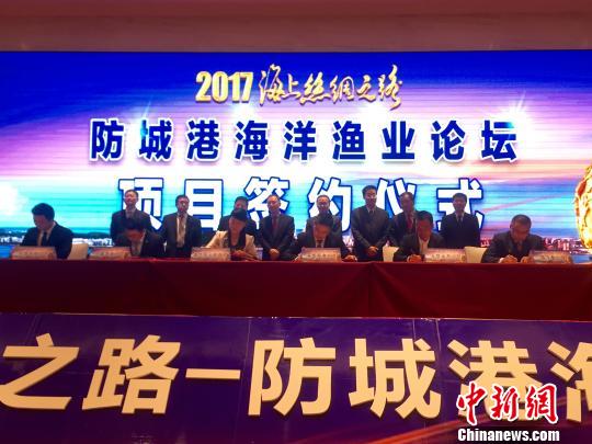 防诚港最新,防诚港的最新发展,机遇与挑战并存