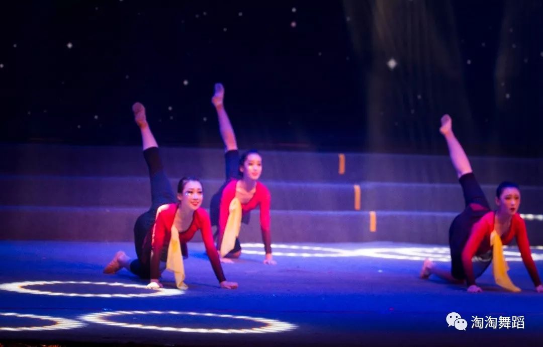 最新编舞,舞动中的爱与陪伴